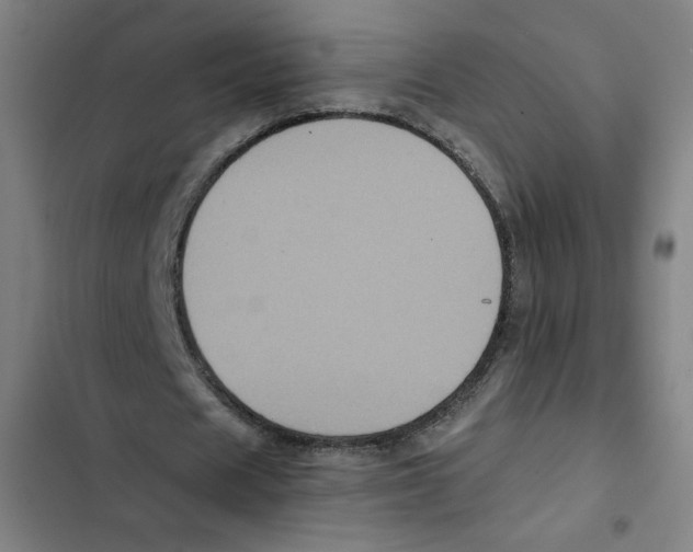 X0000102340625200808291138