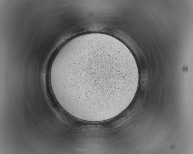 X0000102340626200808291138