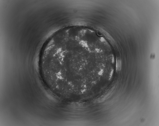 X0000102340627200808291138