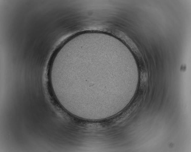 X0000102340628200808291138