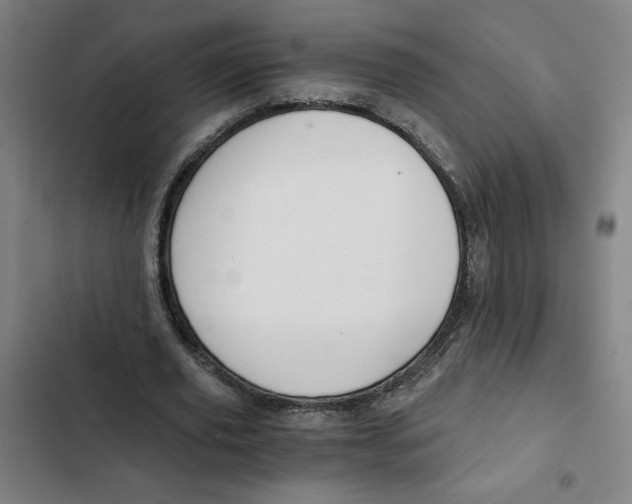 X0000102340629200808291138