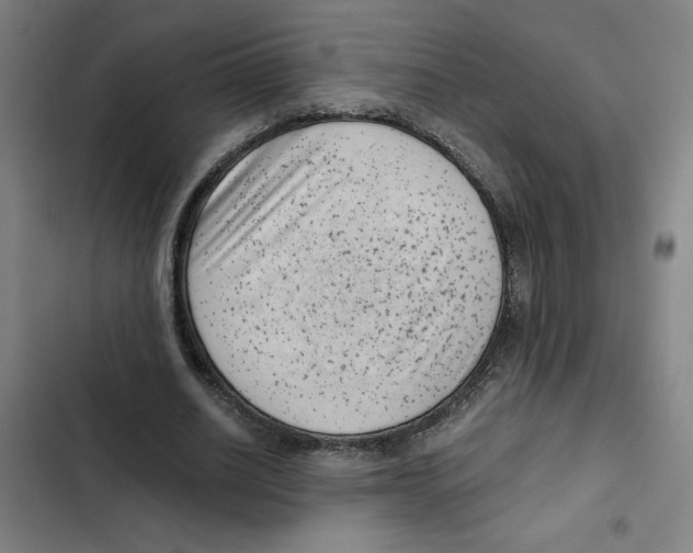 X0000102340630200808291138