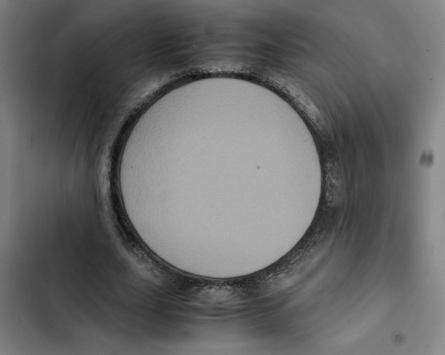 X0000102340631200808291138