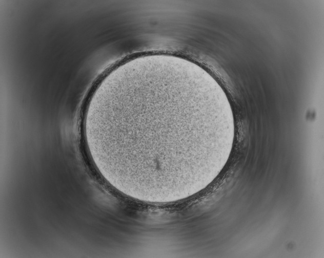X0000102340632200808291138