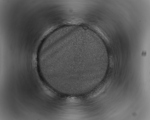 X0000102340634200808291138