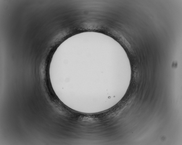 X0000102340635200808291138