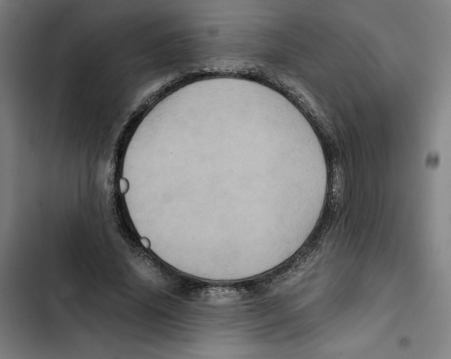 X0000102340636200808291138