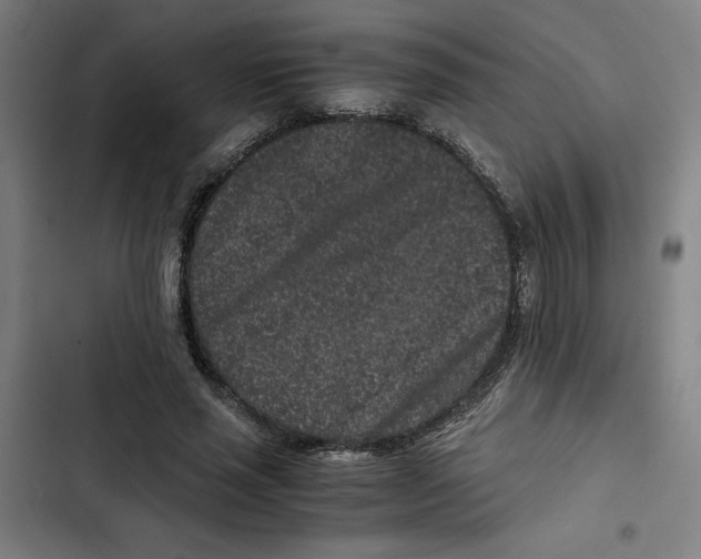 X0000102340637200808291138