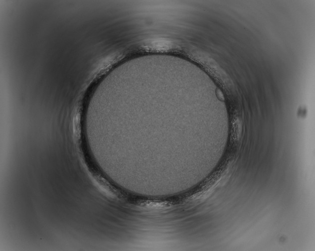 X0000102340638200808291138