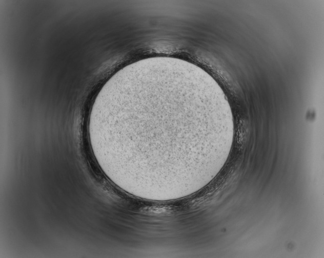X0000102340639200808291138