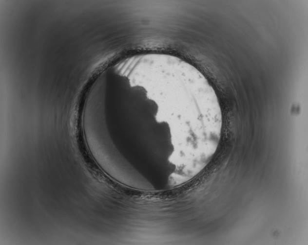 X0000102340640200808291138