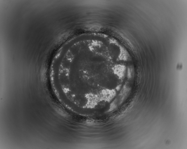 X0000102340641200808291138