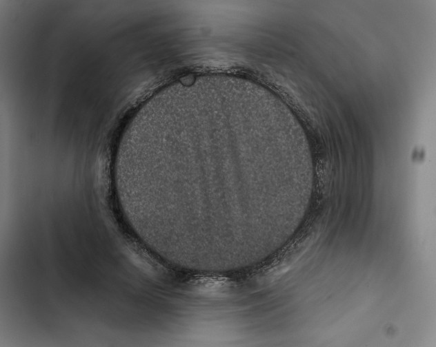 X0000102340642200808291138
