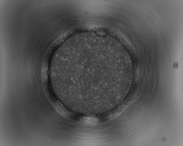 X0000102340644200808291138