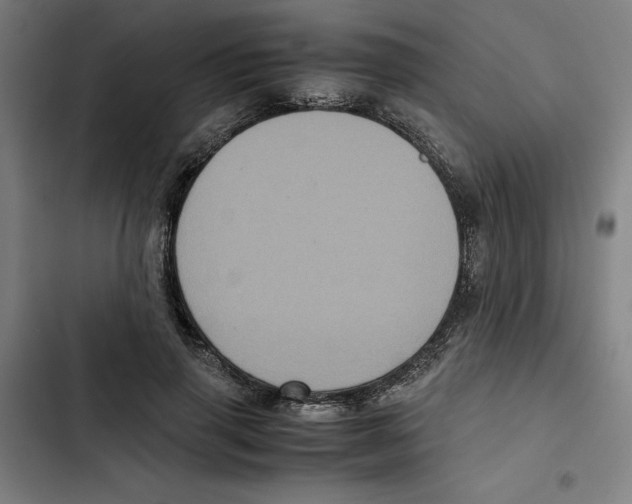 X0000102340645200808291138