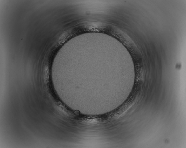 X0000102340646200808291138