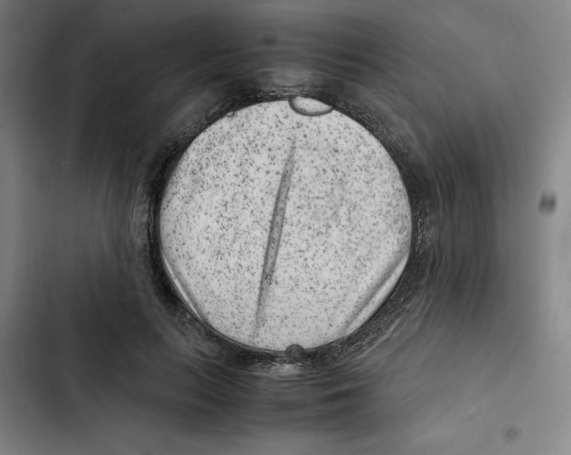 X0000102340647200808291138