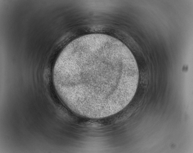 X0000102340648200808291138