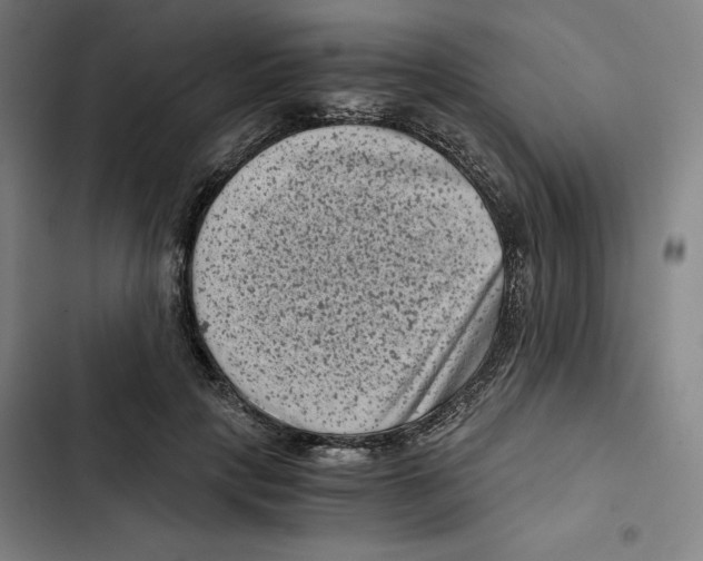 X0000102340649200808291138