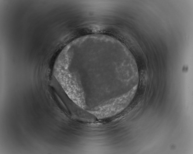 X0000102340650200808291138
