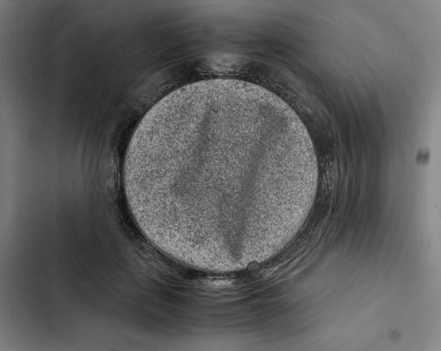 X0000102340651200808291138