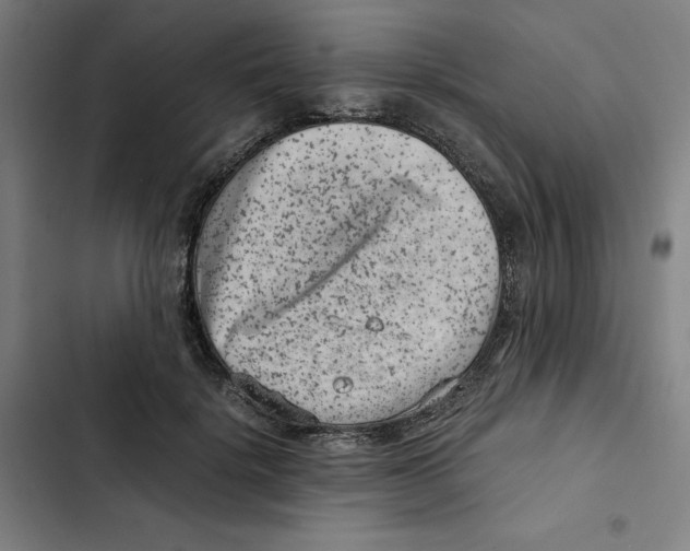 X0000102340652200808291138