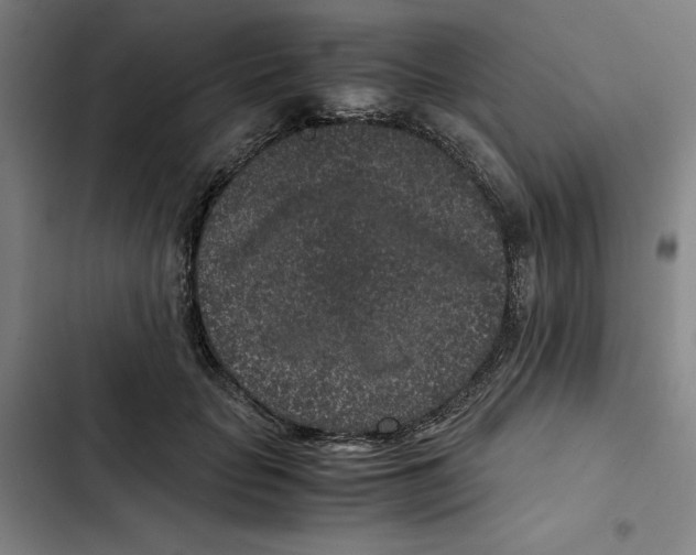 X0000102340653200808291138
