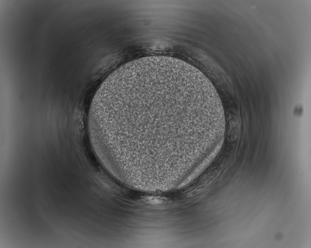 X0000102340654200808291138