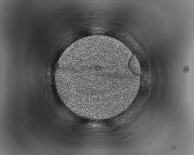 X0000102340655200808291138