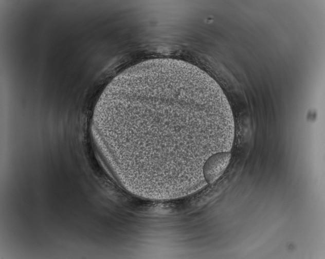 X0000102340656200808291138