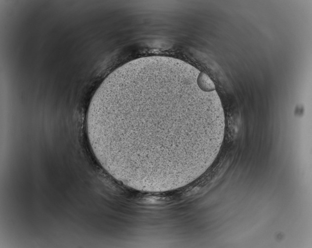 X0000102340657200808291138
