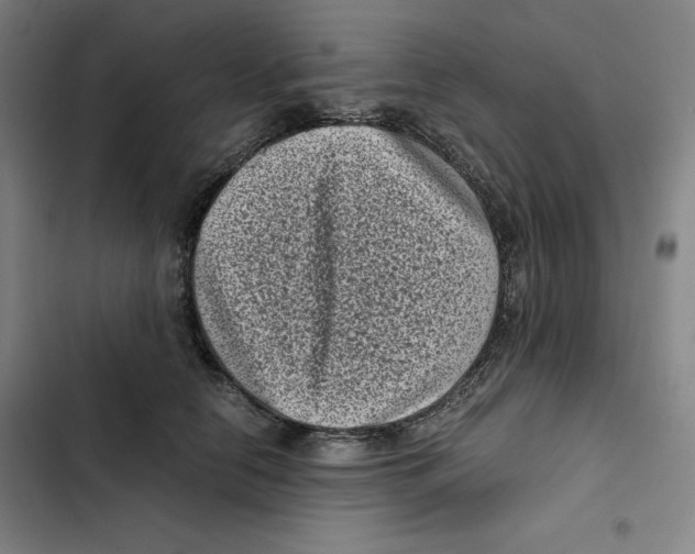 X0000102340658200808291138
