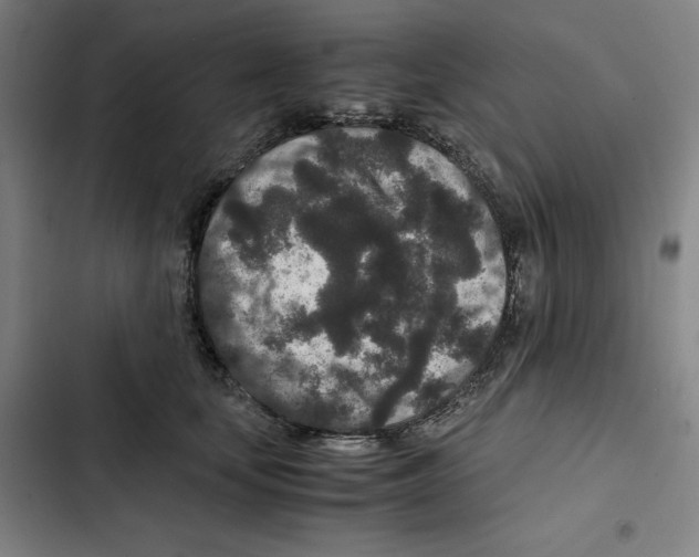 X0000102340659200808291139