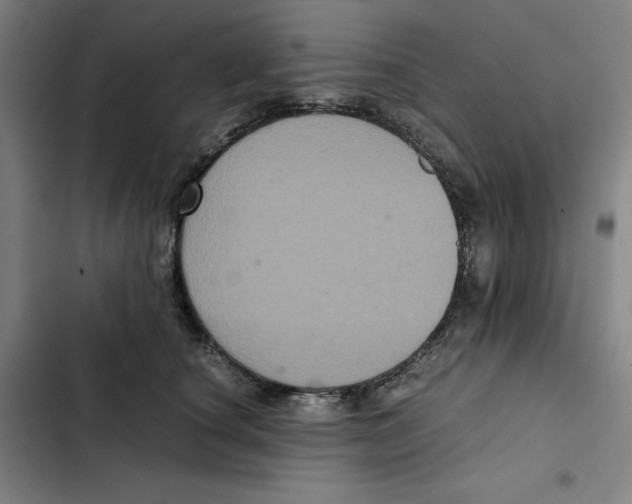 X0000102340660200808291139