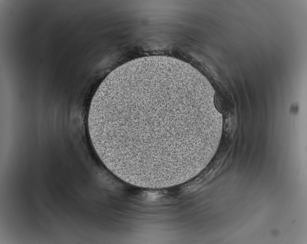 X0000102340662200808291139