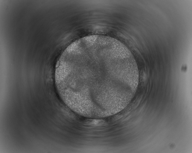 X0000102340663200808291139