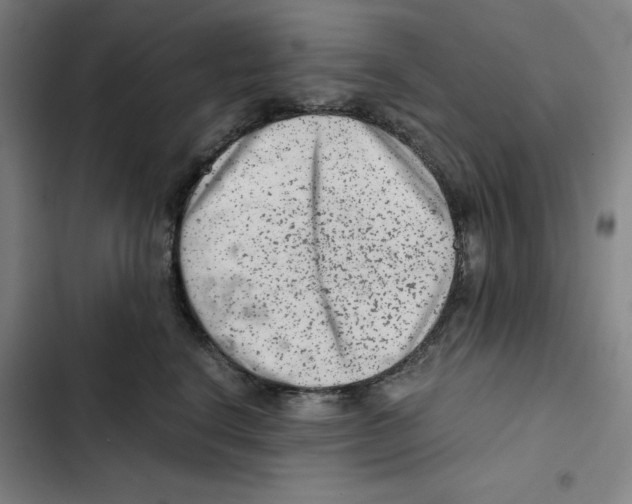 X0000102340664200808291139