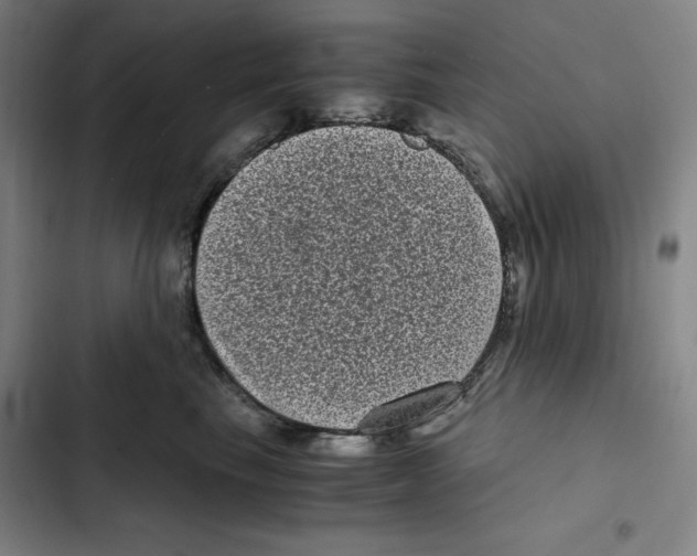 X0000102340665200808291139