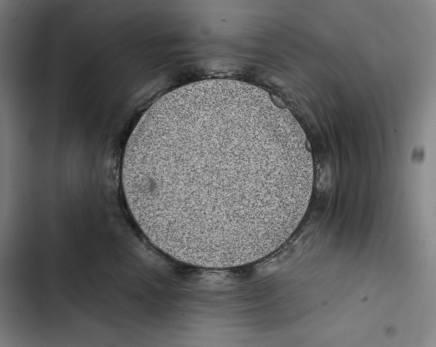 X0000102340666200808291139