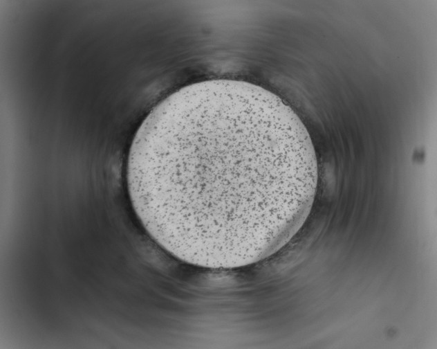 X0000102340668200808291139