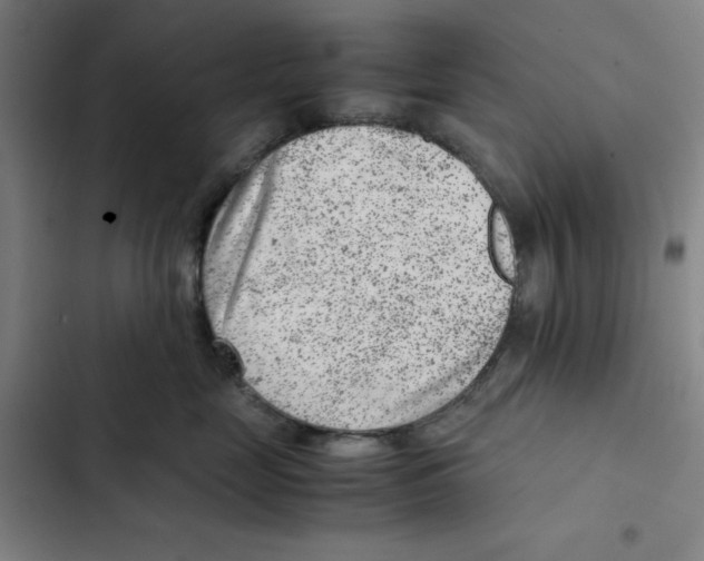 X0000102340669200808291139