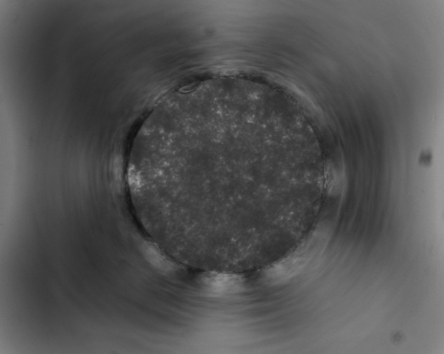 X0000102340670200808291139