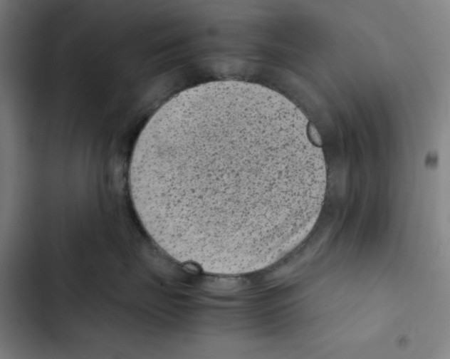 X0000102340671200808291139