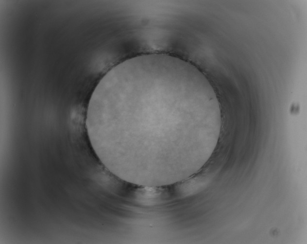 X0000102340672200808291139