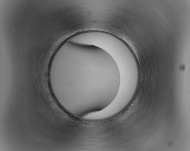 X0000102340673200808291138