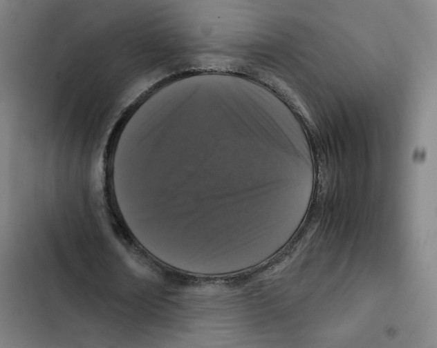 X0000102340674200808291138