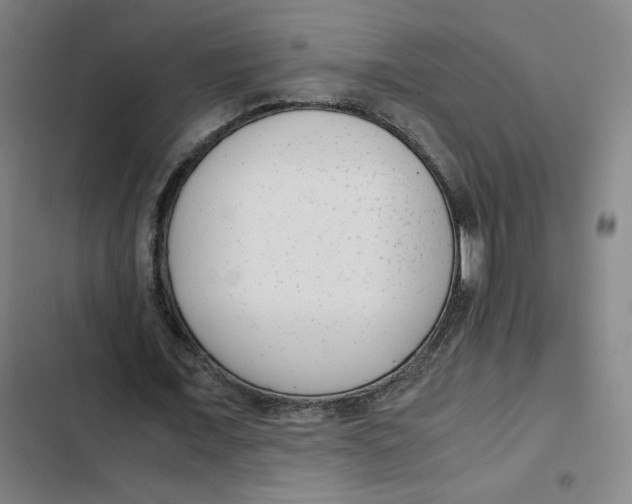 X0000102340675200808291138