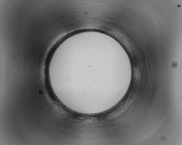 X0000102340676200808291138