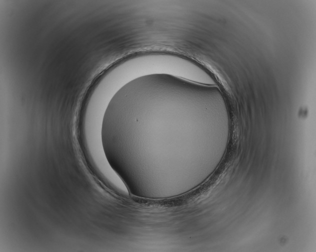 X0000102340677200808291138