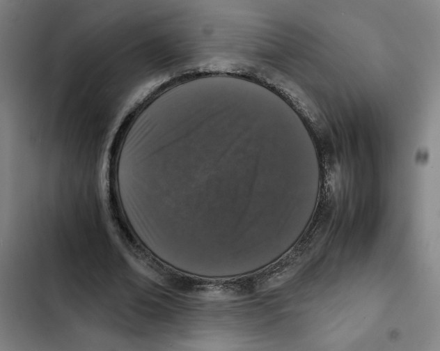 X0000102340678200808291138